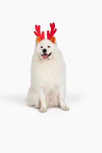 Christmas Reindeer Antlers with Ears for Large Dogs K911483