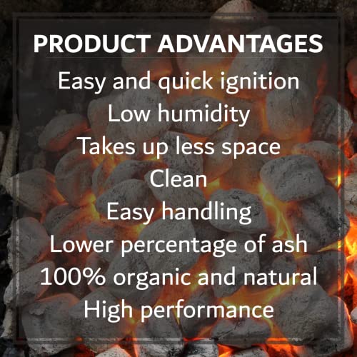 6.5 Lb Oak & Applewood Charcoal Briquettes Y668753