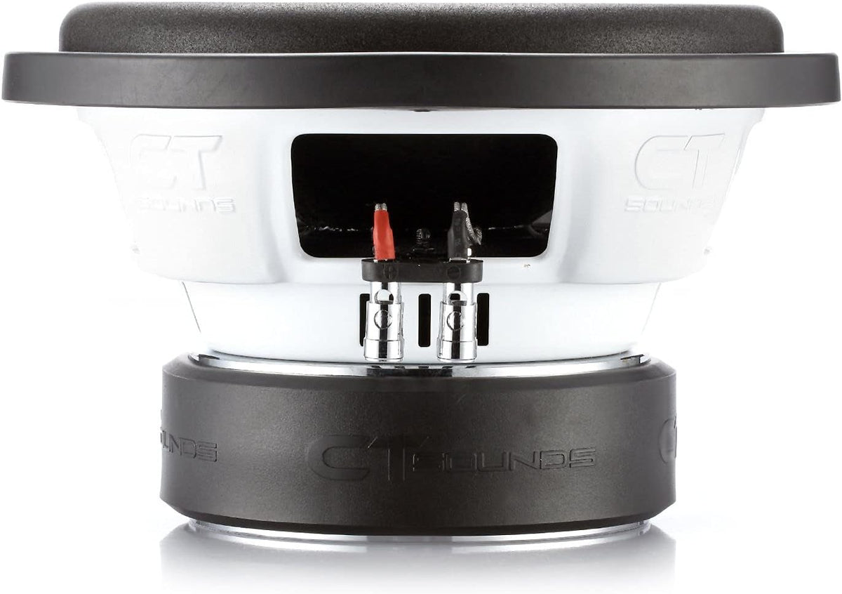 10 Inch Car Subwoofer Dual 2 Ohm A37642