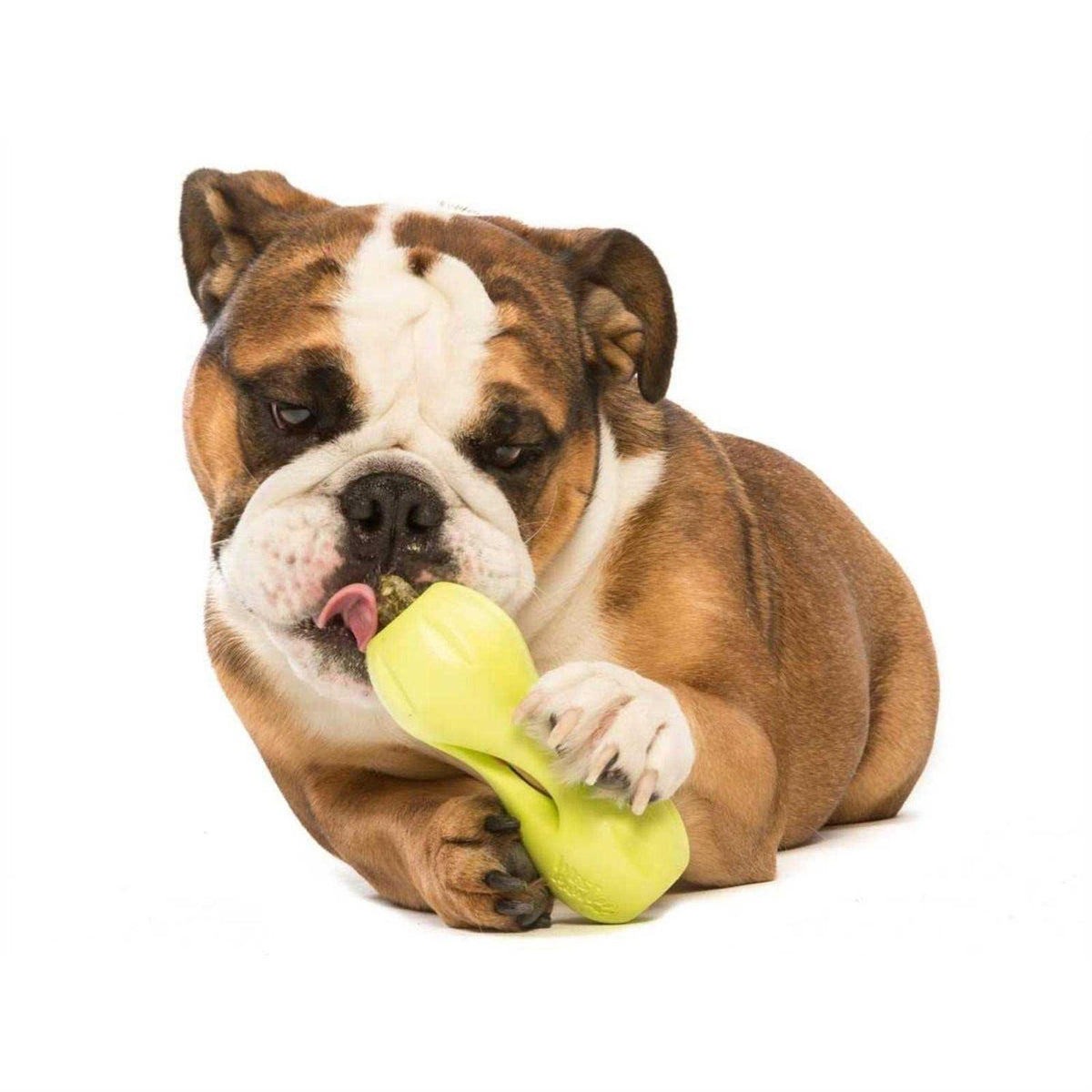 Dog Toy K11892