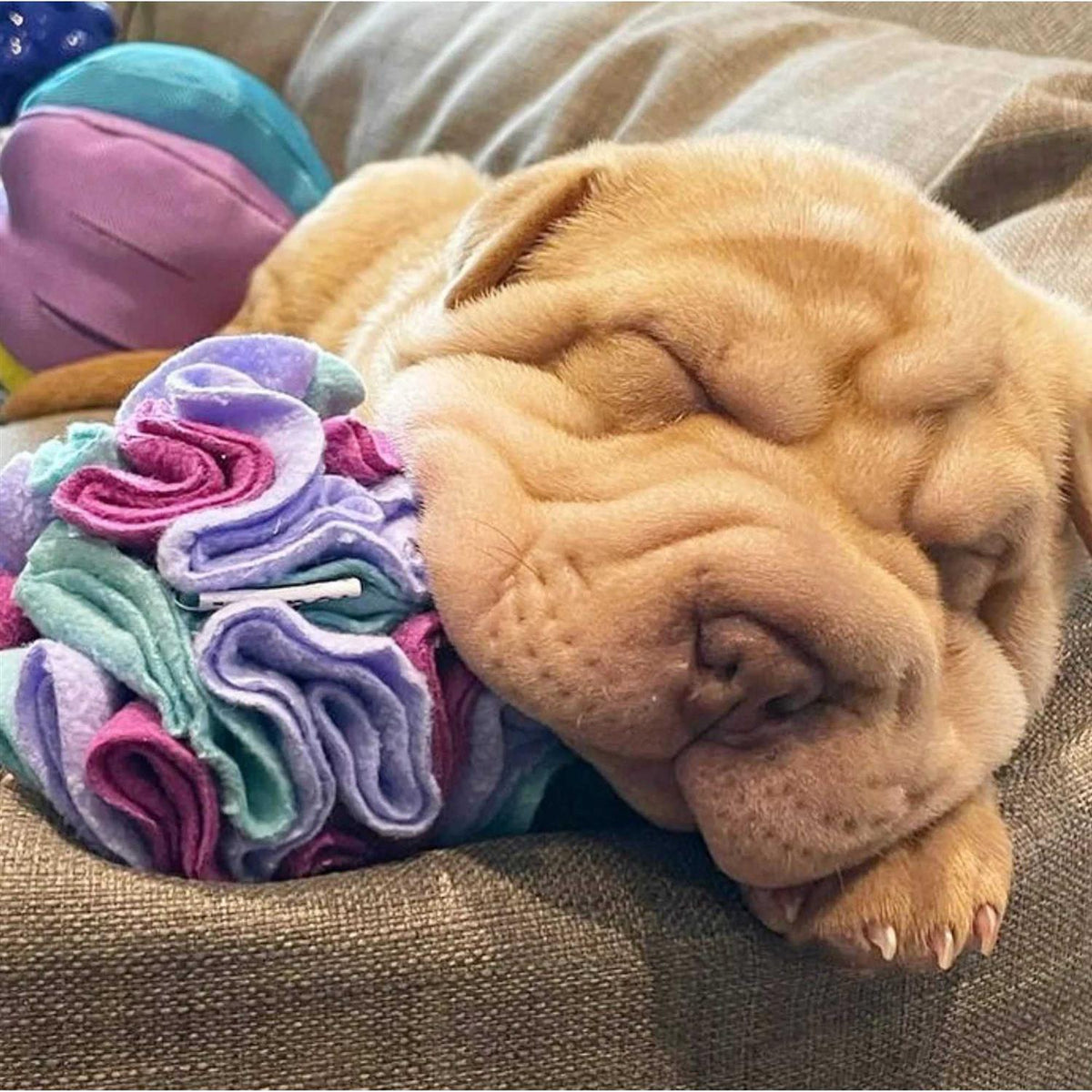 Snuffle Balls Dog Toy T2759