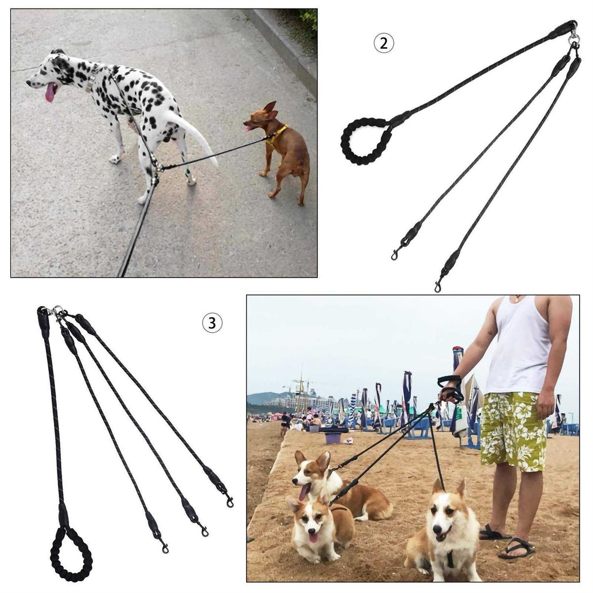 No Tangle Nylon Dog Leash O831879