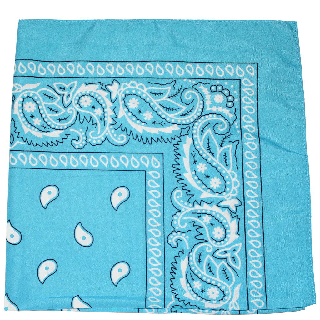 240 Paisley 100% Cotton Double Sided Bandanas I522858