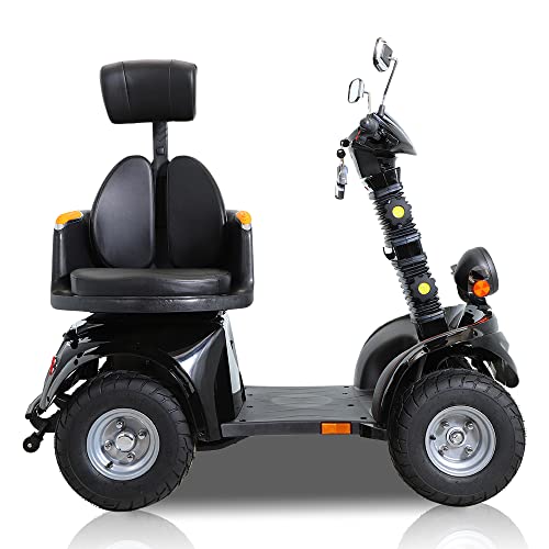 3-Speed Electric Mobility Scooter with 1000w N447297
