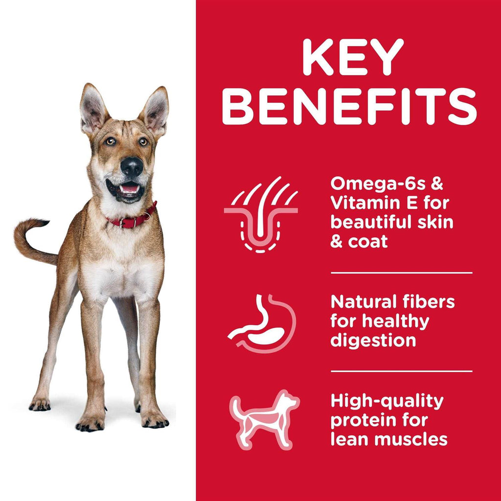 Adult Chicken & Barley Dry Dog Food V1830
