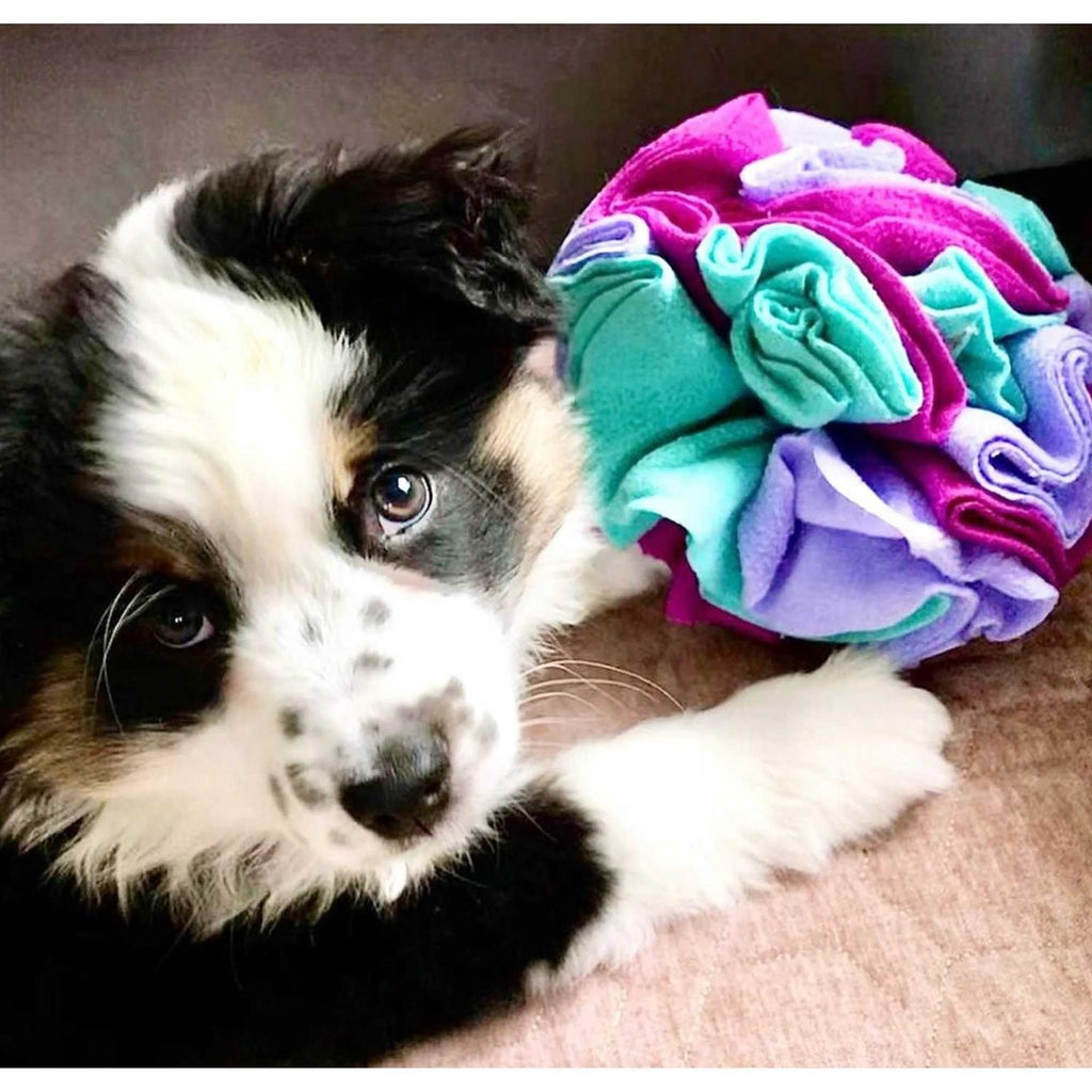 Snuffle Balls Dog Toy T2759