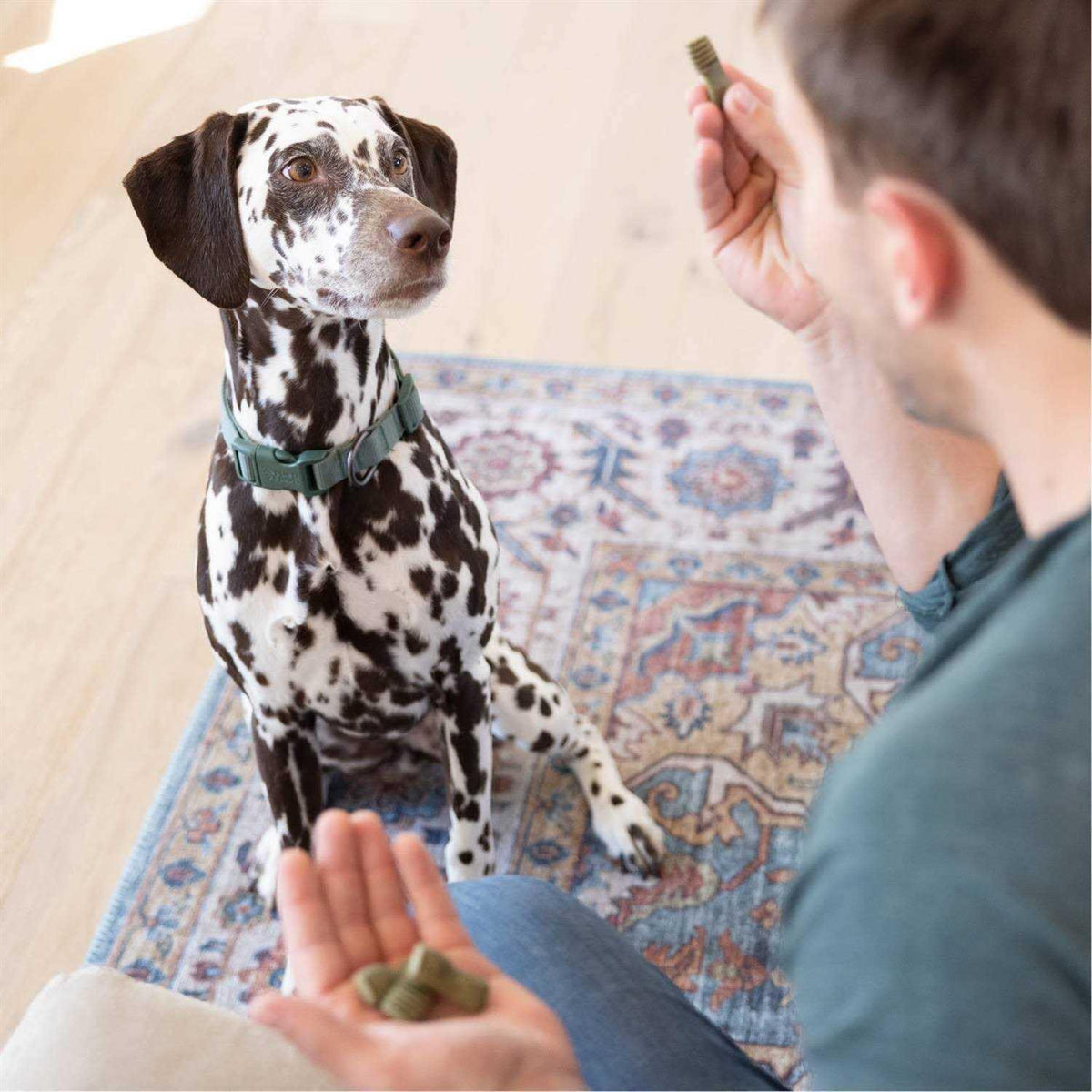 Dog Treats W659339