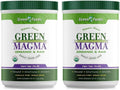 Green Magma Powder 10.6 Ounces 2 Pack N86179