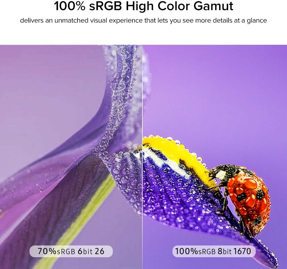 17.3 Inch IPS HDR FHD Portable Monitor with Dual Speaker D52658