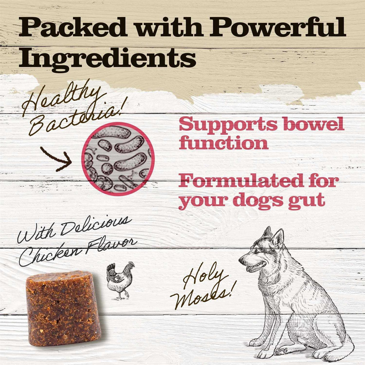 Probiotic Chews for Dogs Small & Medium P47726