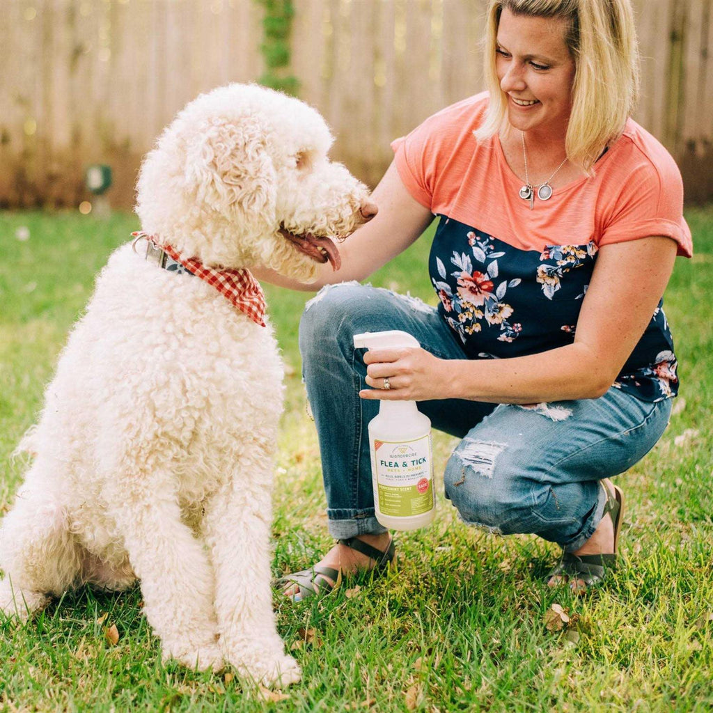 Flea Tick Spray for Pets C910040
