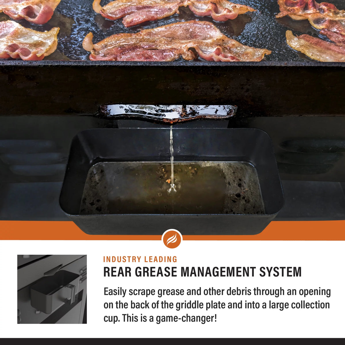 4-Burner Propane Griddle with Air Fryer and Hood R250488