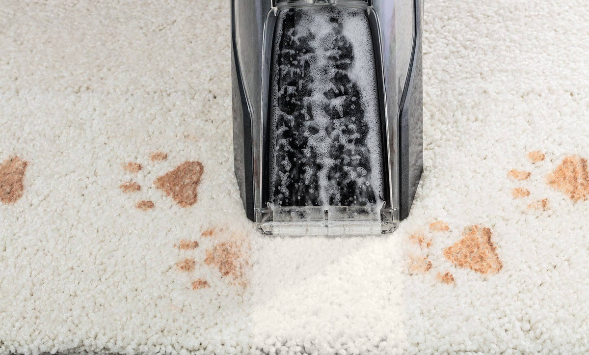 Cordless Portable Spot Carpet Cleaner C9523