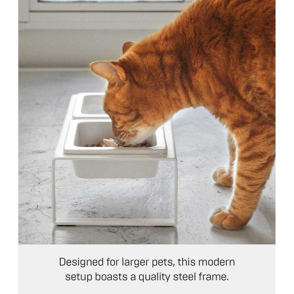 Pet Food Bowl S20674