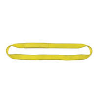 4 Ply Polyester Web Sling Z192996