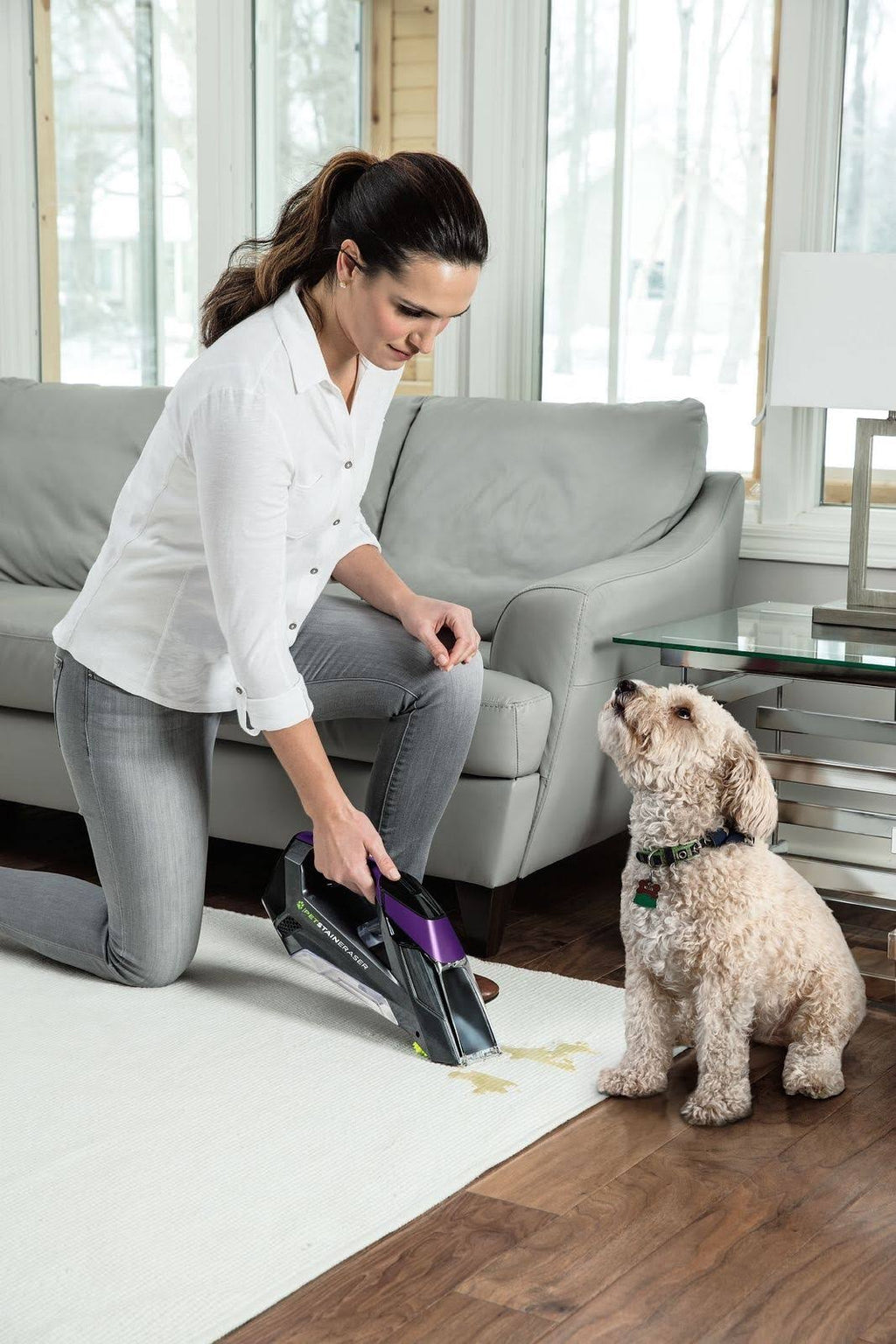 Cordless Portable Spot Carpet Cleaner C9523