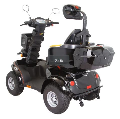 3-Speed Electric Mobility Scooter with 1000w N447297