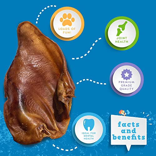 30 Pack Extra Thick Pig Ears Dog Treats K739340
