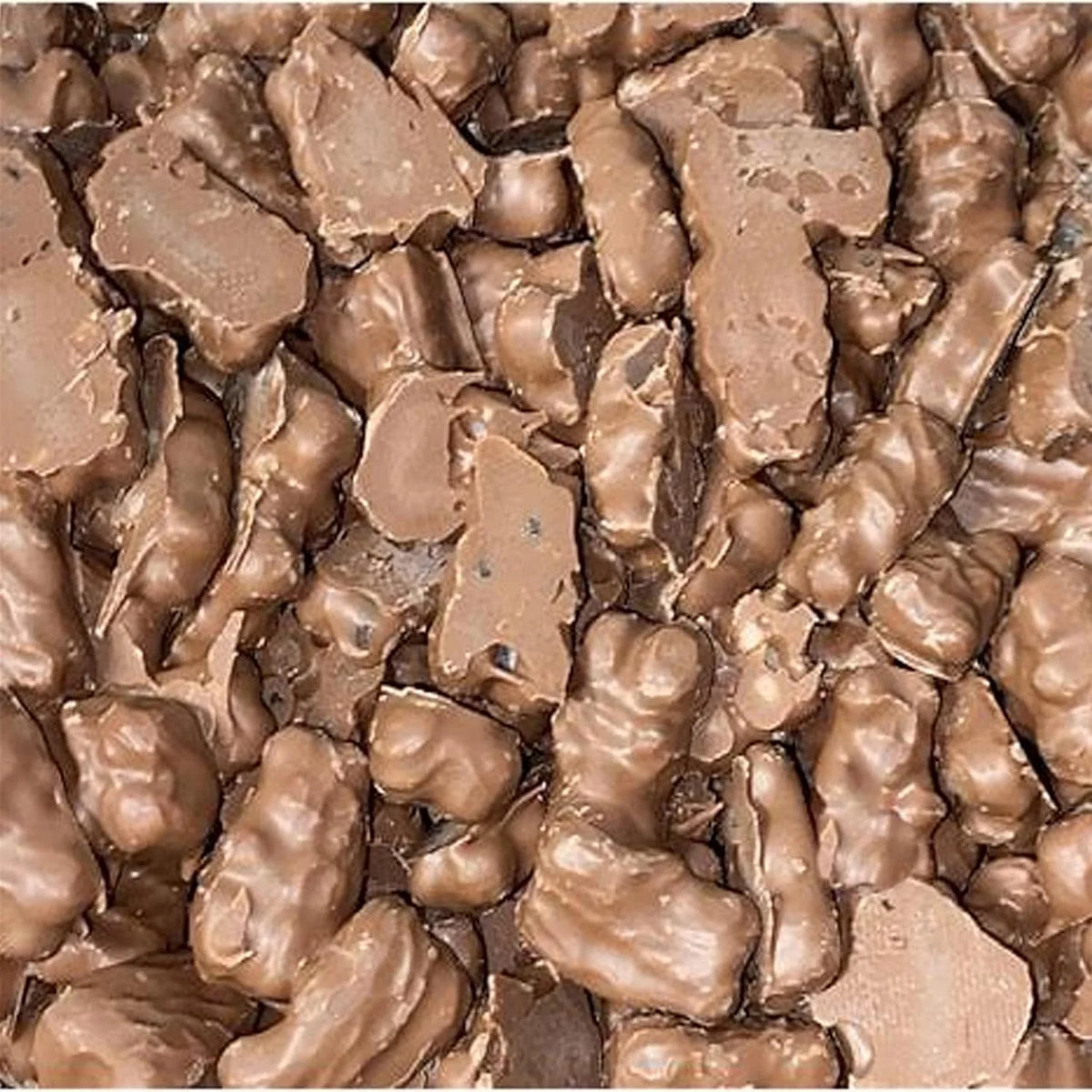 Milk Chocolate Covered Gummi Bears (2.25 Pound) P2675