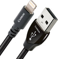 Carbon USB A-Lightning Cable 0.75 M E847
