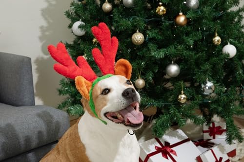 Christmas Reindeer Antlers with Ears for Large Dogs K911483