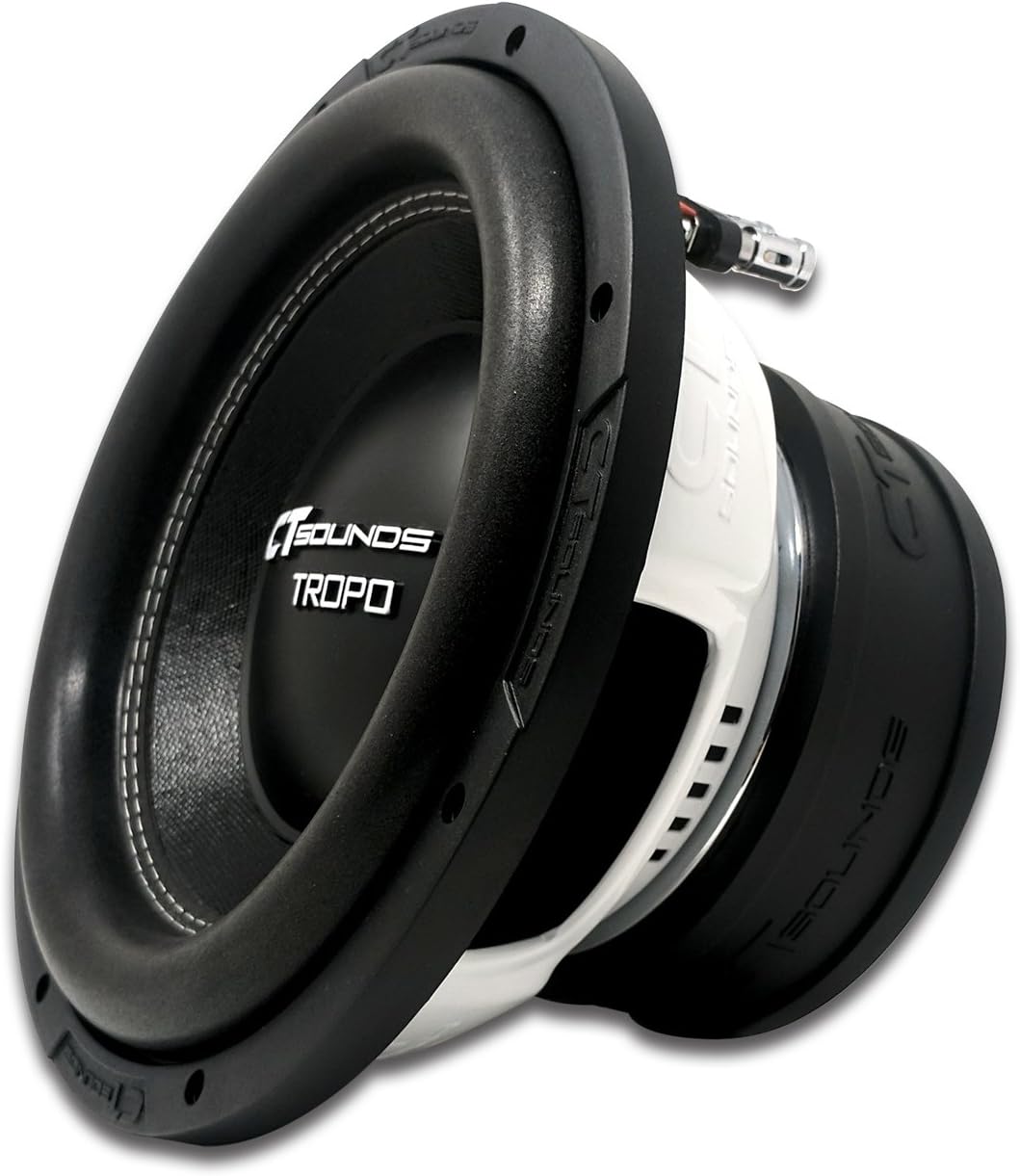 10 Inch Car Subwoofer Dual 2 Ohm A37642