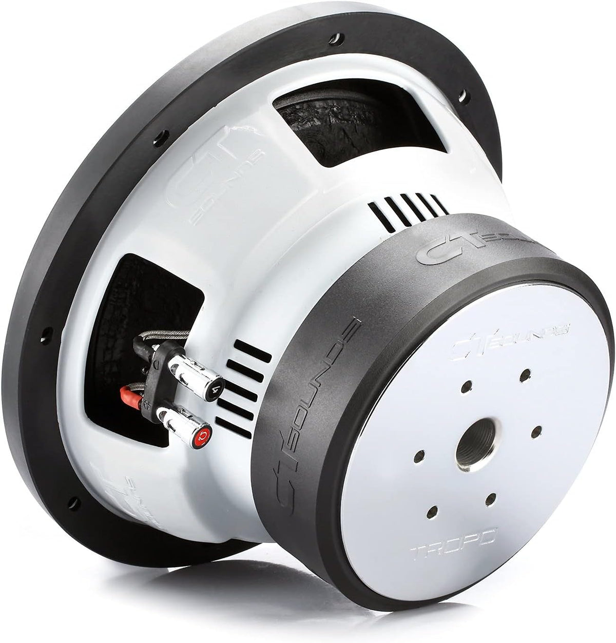 10 Inch Car Subwoofer Dual 2 Ohm A37642
