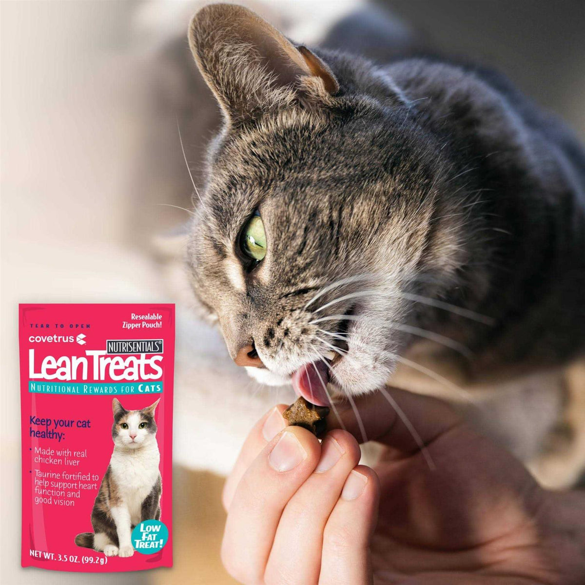 Soft Cat Treats F729289
