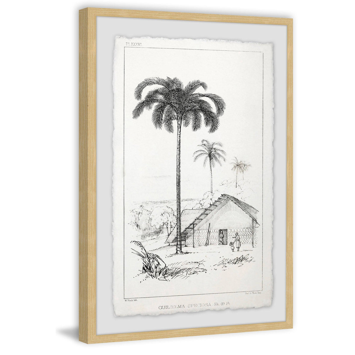 Gray 24 x 36 Framed Giclee Painting B364297