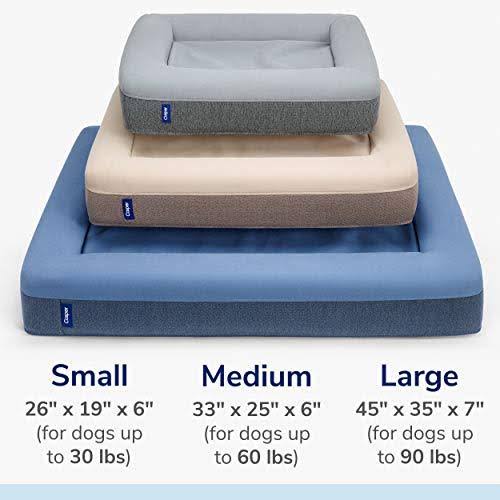 Blue Large Memory Foam Dog Bed T416813