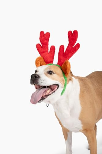 Christmas Reindeer Antlers with Ears for Large Dogs K911483