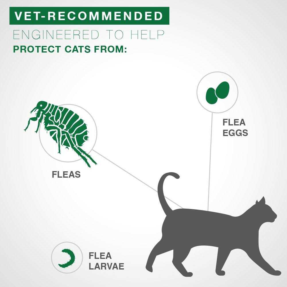 Flea Treatment for Kittens H5005