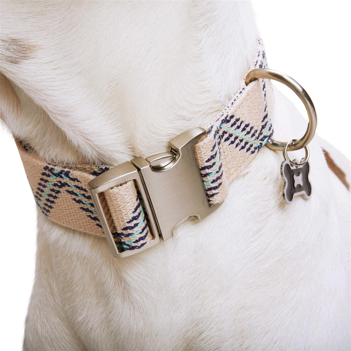 Zig Zag Dog Collar K211