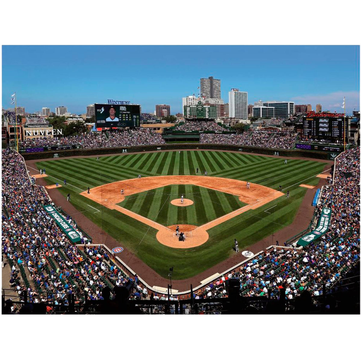 Chicago Cubs Wall Mural O90081