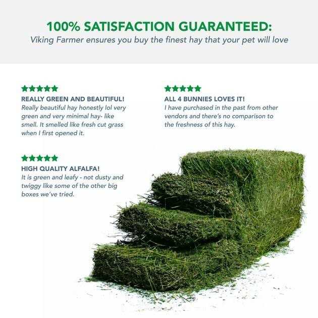 Alfalfa Hay for Rabbits & Small Pets M11363