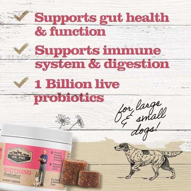 Probiotic Chews for Dogs Small & Medium P47726