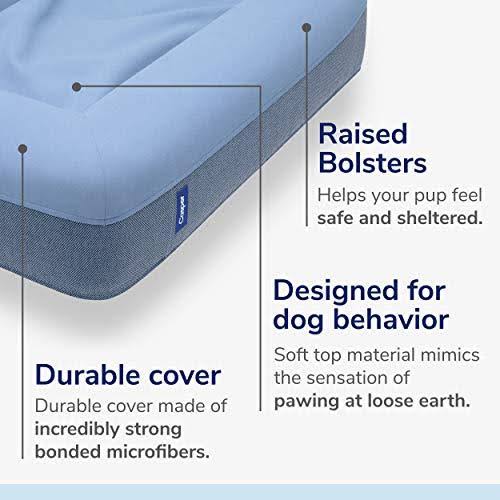 Blue Large Memory Foam Dog Bed T416813