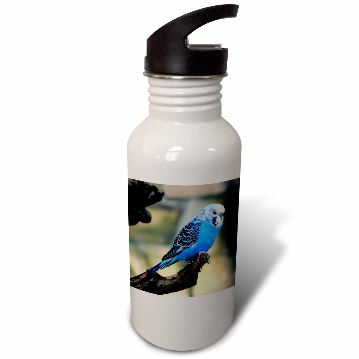 Blue Budgie Bird 21 oz Sports Water Bottle R400