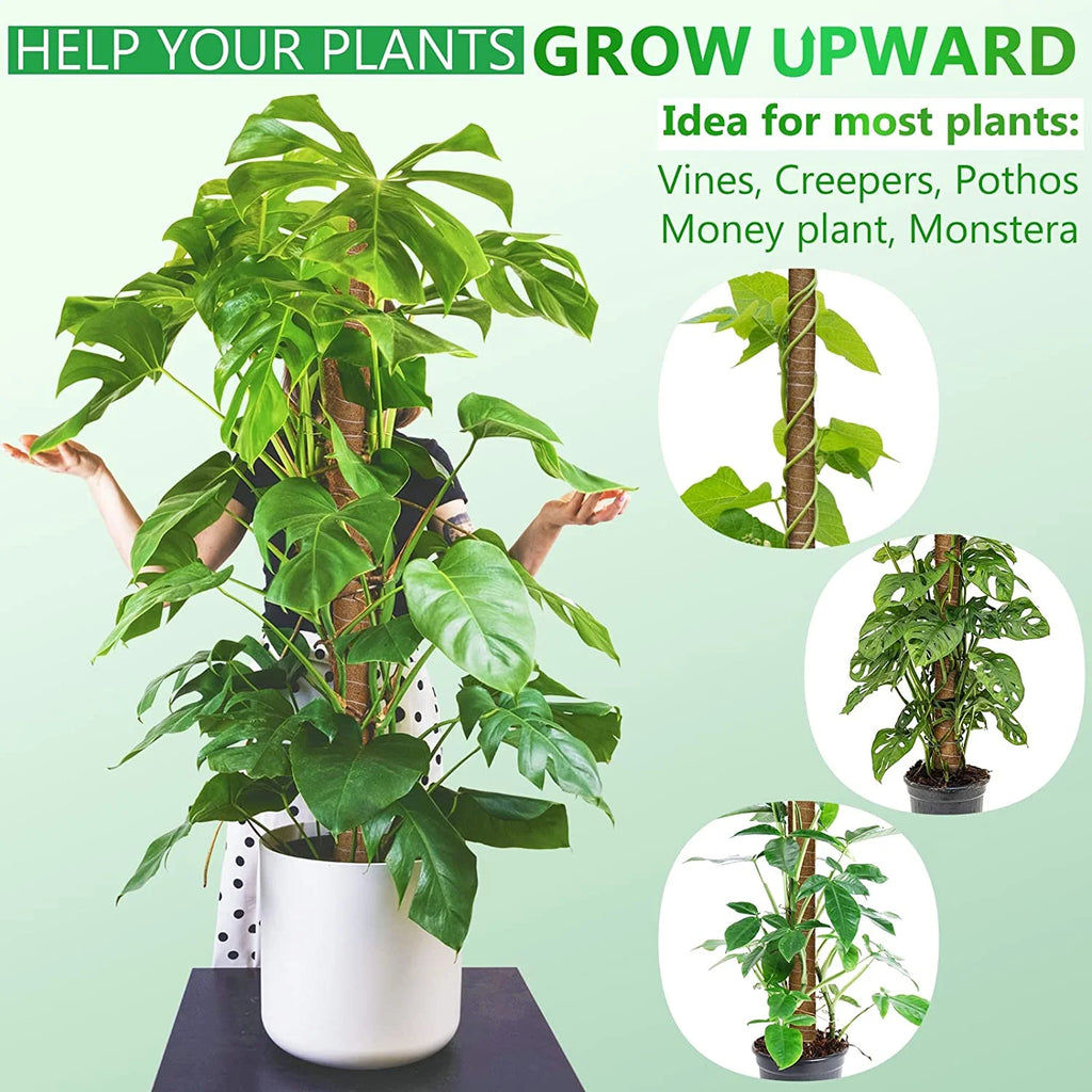 4 PCS Coir Plant Support Pole for Climbing Plants U8494