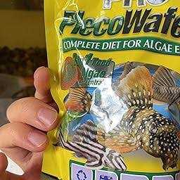 PlecoWafers Pet Supplies J604633