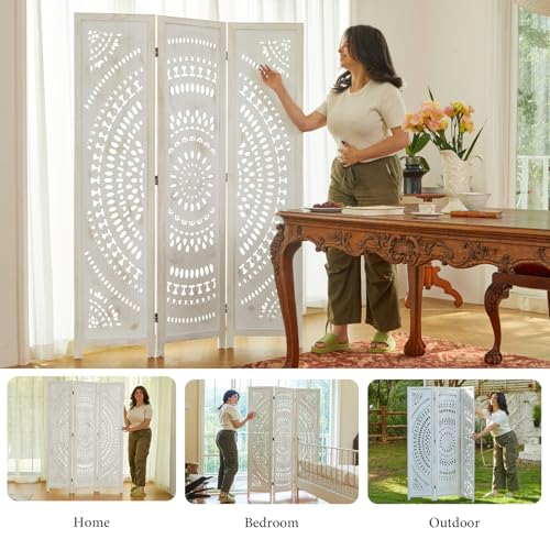 Wood Carved Folding Room Divider Screen 6 Panels D356