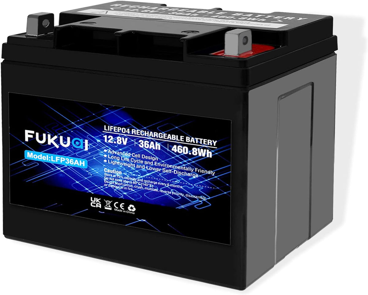 12V 16Ah LiFePO4 Battery, Pack of 2 C85010