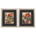 Brushed Silver Frame Daisy Divine (Set of 2) W80581
