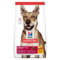 Adult Chicken & Barley Dry Dog Food V1830