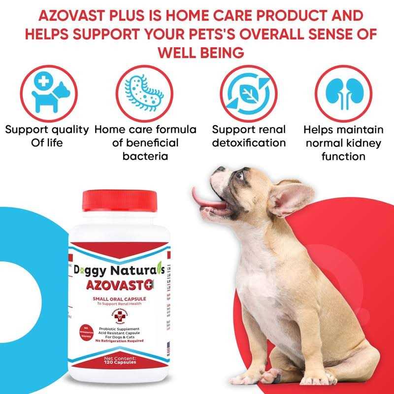 Kidney Health Supplement for Dogs & Cats O712