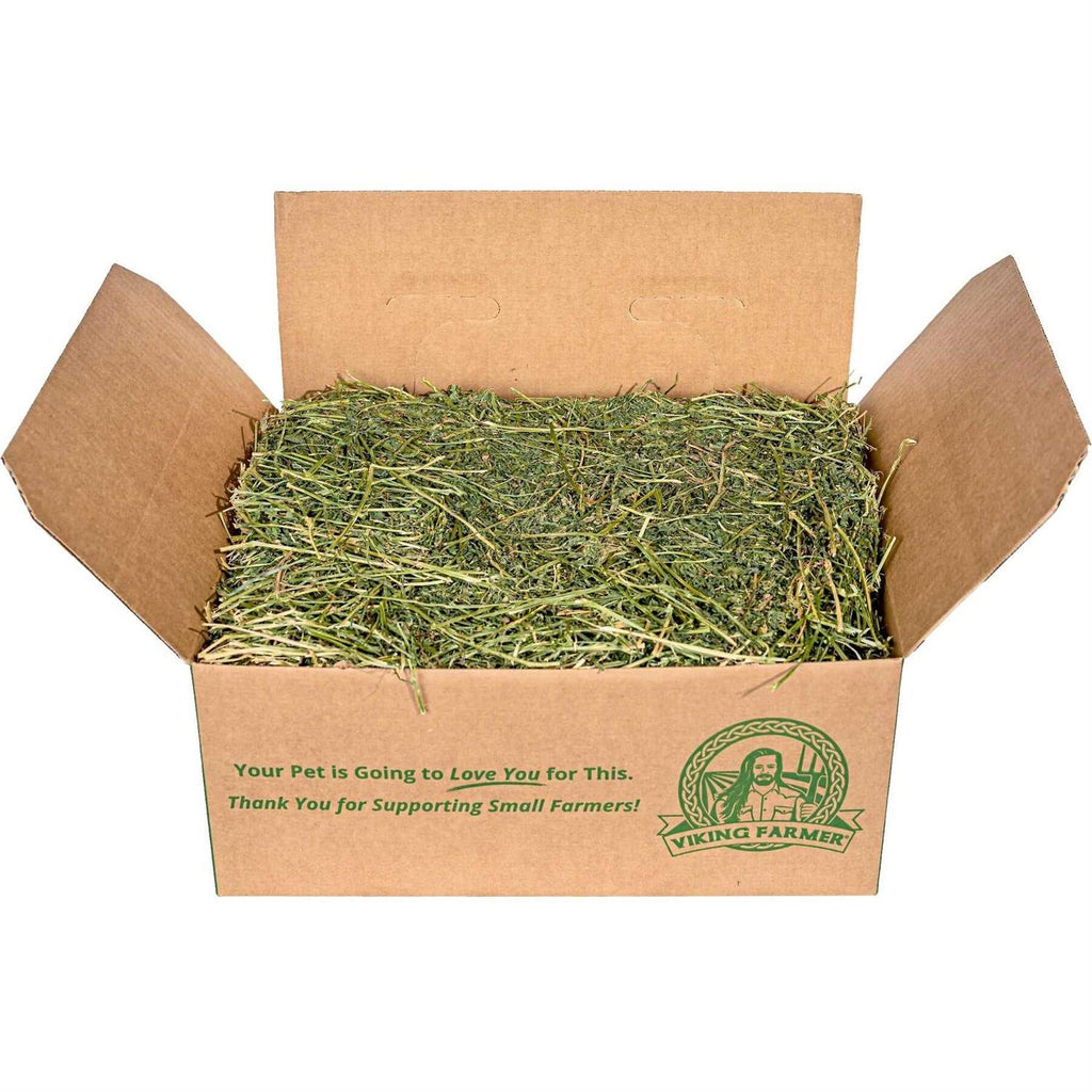 Alfalfa Hay for Rabbits & Small Pets M11363