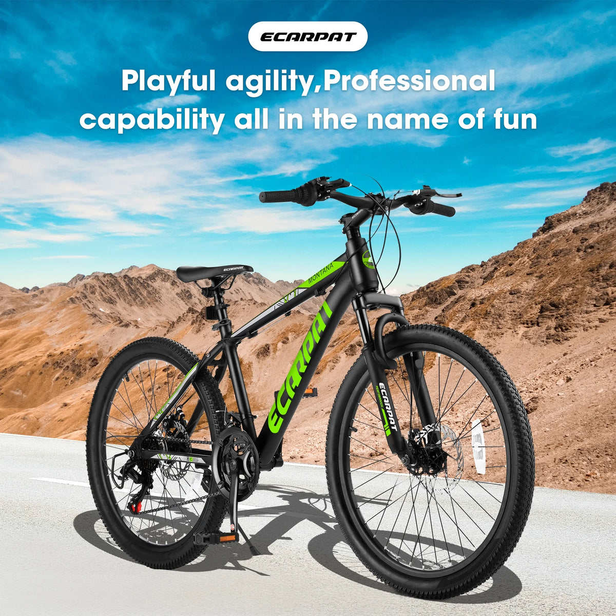 24 inch 21-Speed Aluminium Mountain Bike with Disc Brake Y132