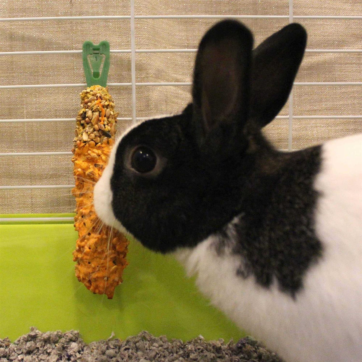 Guinea Pig Crunch Sticks B3450