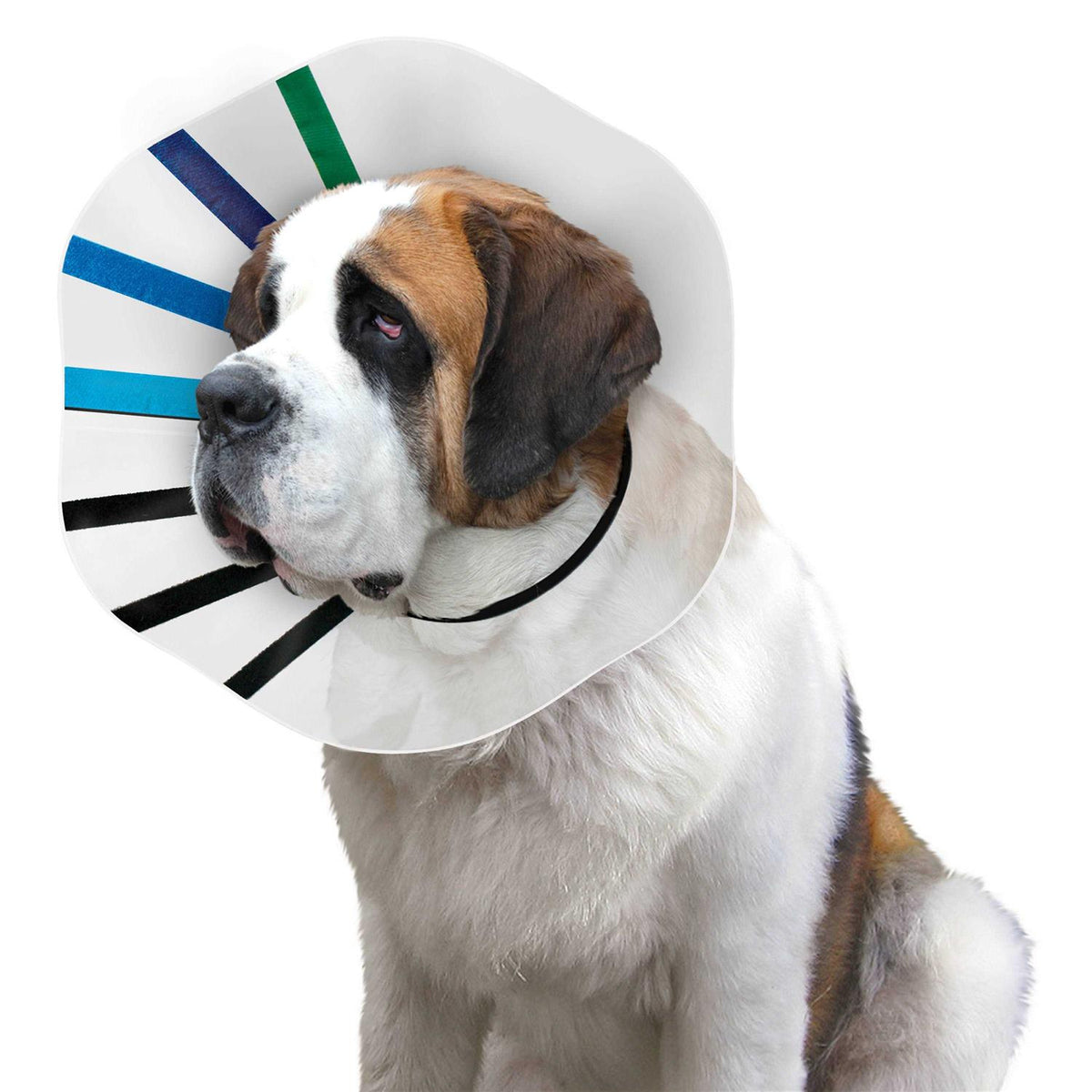 Clear Collar M287890