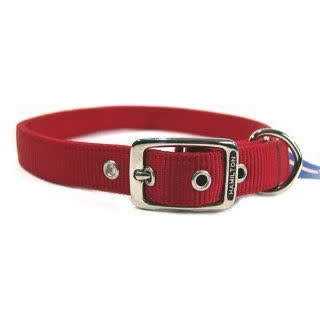 Nylon Dog Collar B5018